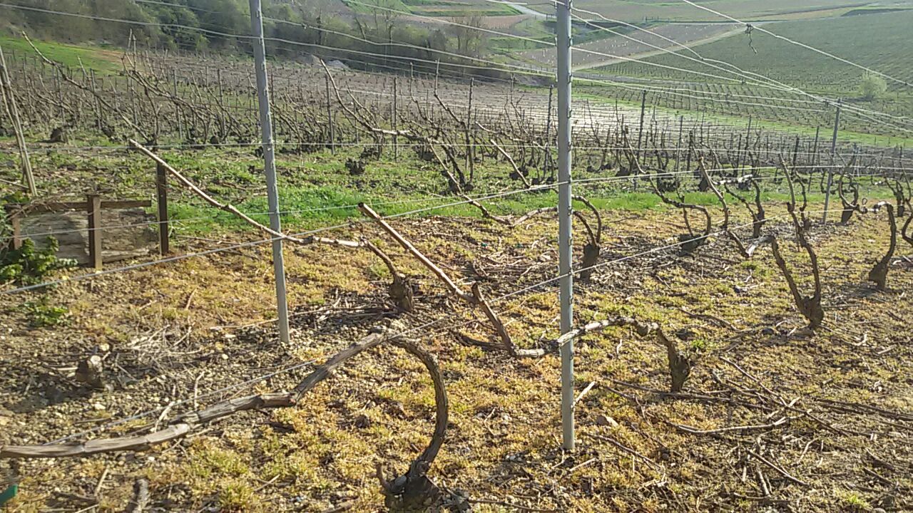 Lo Champagne e la valle della Marna /6 Laboratorio Alte Valli